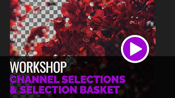 Channel Selections & Selection Basket - Workshop