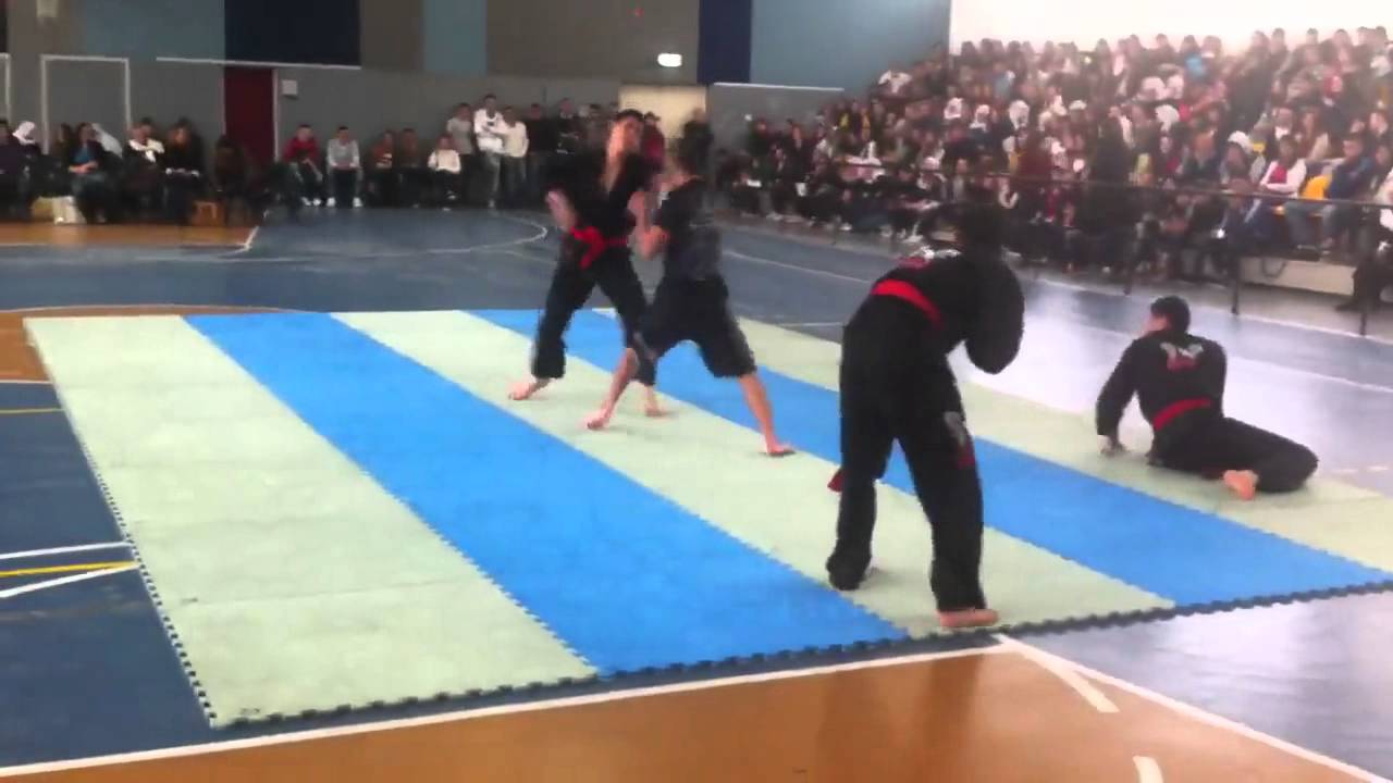 amazing martial arts demonstration!!!!!!! YouTube