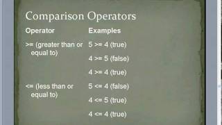 Famous VB.NET Week 2 Part 2 Net Worth