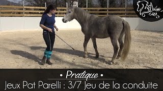 • PRATIQUE • Jeux Pat Parelli : 3/7 Jeu de la conduite screenshot 3