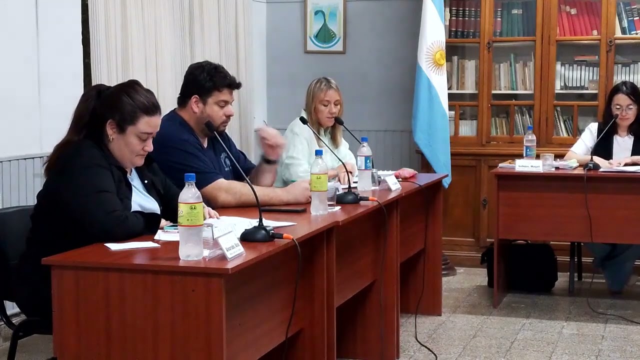 HCD. Sesión Ordinaria N°29. 16/10/2025