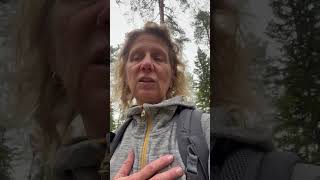 Shining One Von Michael Stillwater