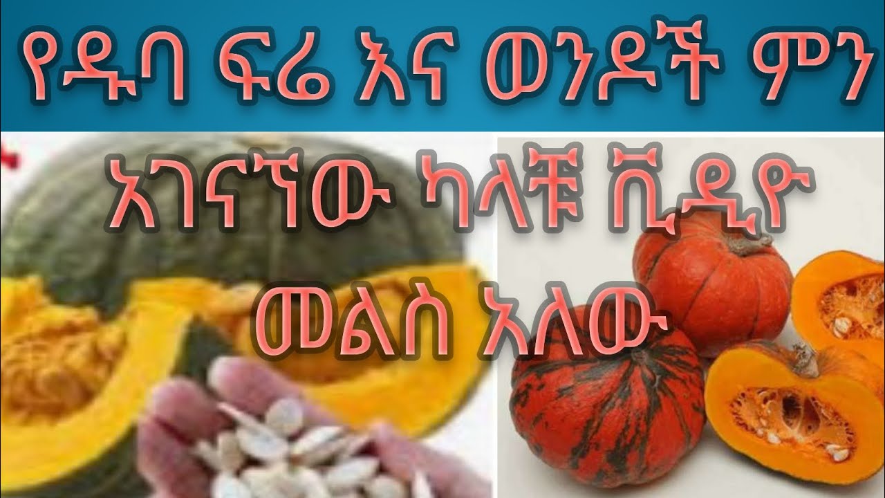 የዱባ ፍሬ እና ወንዶች ምን አገናኛቸው ካላቹ እሄ ቪዲዮ መልስ አለው pumpkin  seed