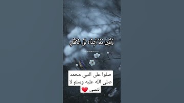 القرآن الكريم بصوت جميل ورائع تلاوة خاشعة تريح الأعصاب