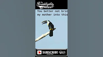LMAO Funny Birds Fighting Tony And Ezekiel What Is Your Name Funny Funnyshorts Funnyanimals 