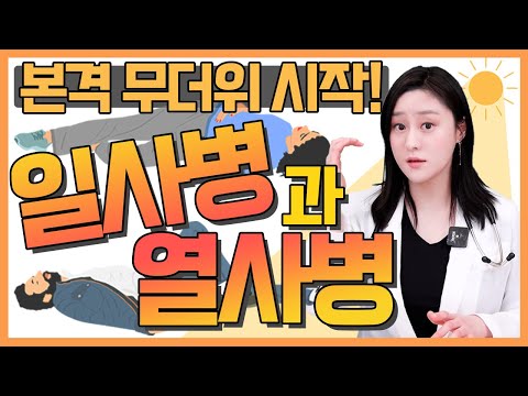 (CN)더운 여름철 일사병과 열사병의 차이는 무엇일까요?