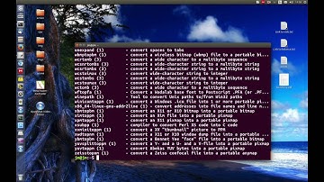 Linux Terminal: The whatis and apropos commands