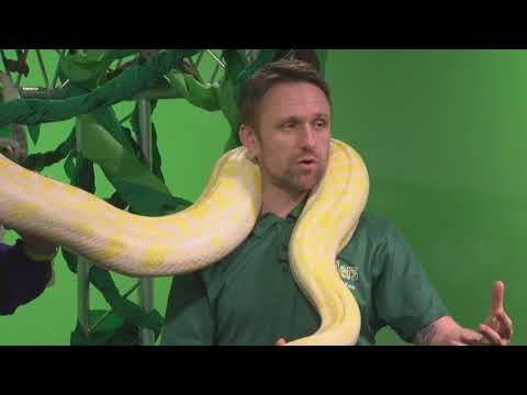 Animal Portal TV Show