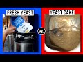 Fresh yeast vs yeast cake in a vienna lager  exbeeriment