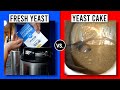 FRESH YEAST vs. YEAST CAKE in a Vienna Lager | exBEERiment