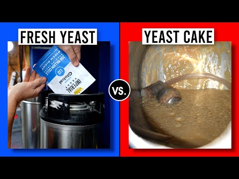 FRESH YEAST vs. YEAST CAKE in a Vienna Lager 