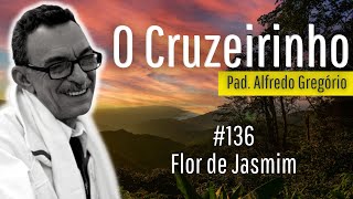 Vídeo de Flores De Jasmim