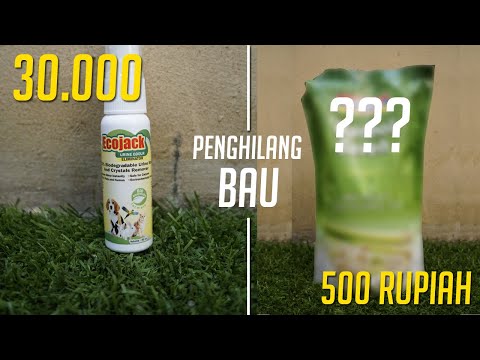 Video: Cara Menghilangkan Bau Urine Kucing Dengan Cuka