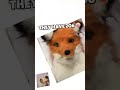 Don't Break Someone's Heart, Break Their Bones #therian #furry #funny #masks #fod #redfox