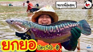 ยกยอ อ่างแม่กระต๋อม ►Fishing lifestyle Ep.339