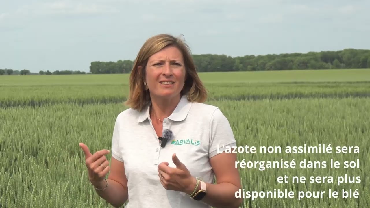 Concilier rendement et protéines en blé tendre (2/4) : fractionner les apports d’azote - ARVALIS.fr