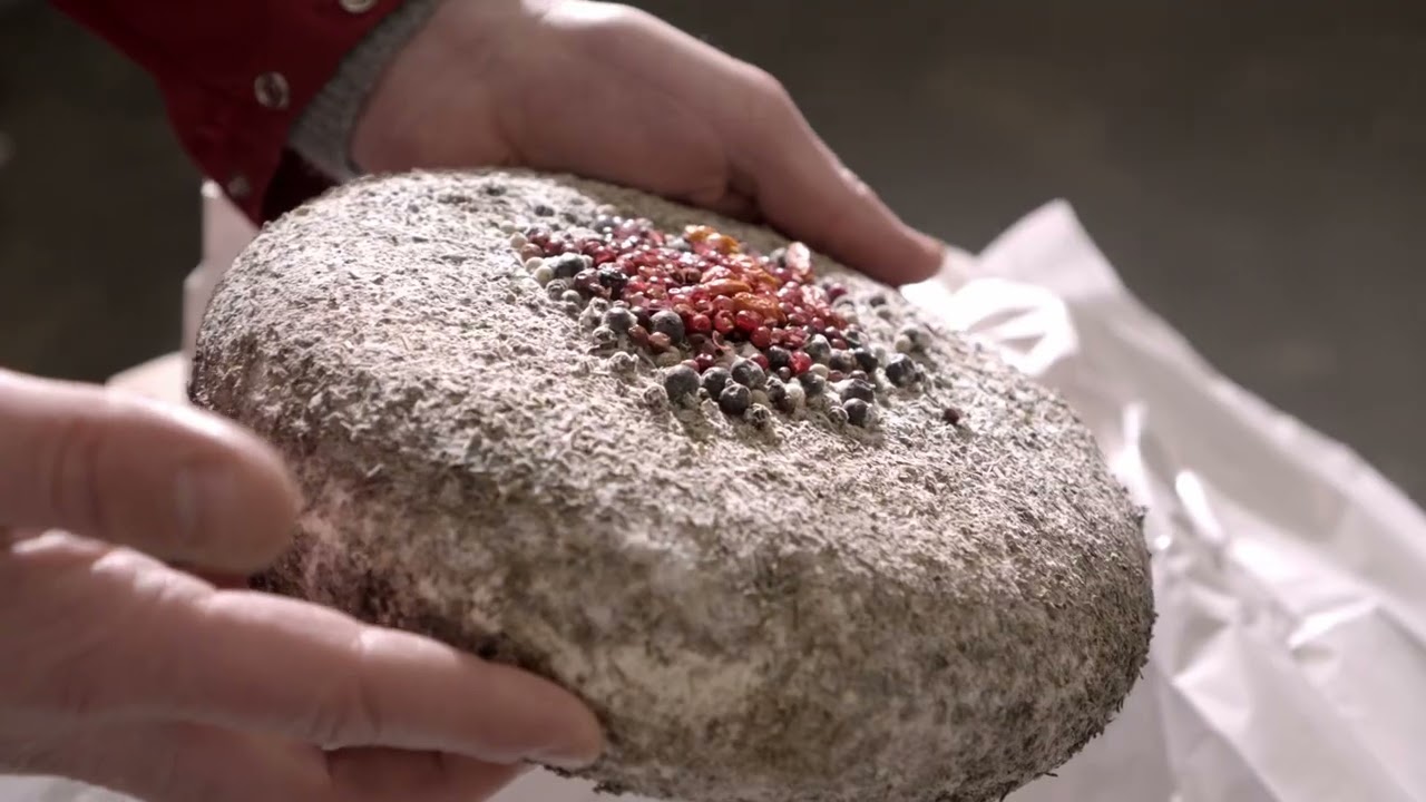 Présentation de la Maison Gratiot en vidéo