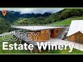 Un viedo en costa rica copey estate winery  copey de dota