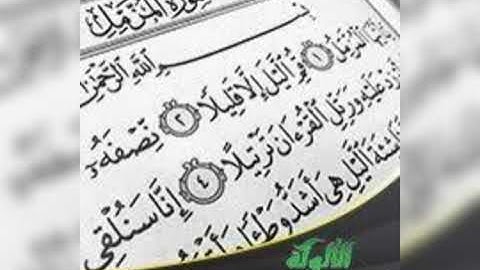 سورة المزمل بصوت  القارئ محمد حلمى