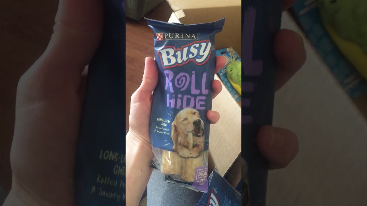 Chewy.com HAUL mostly medium/large dog stuff