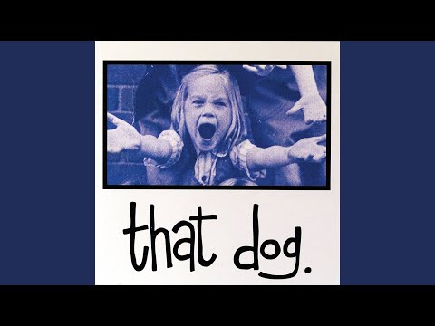 that dog. — You Are Here