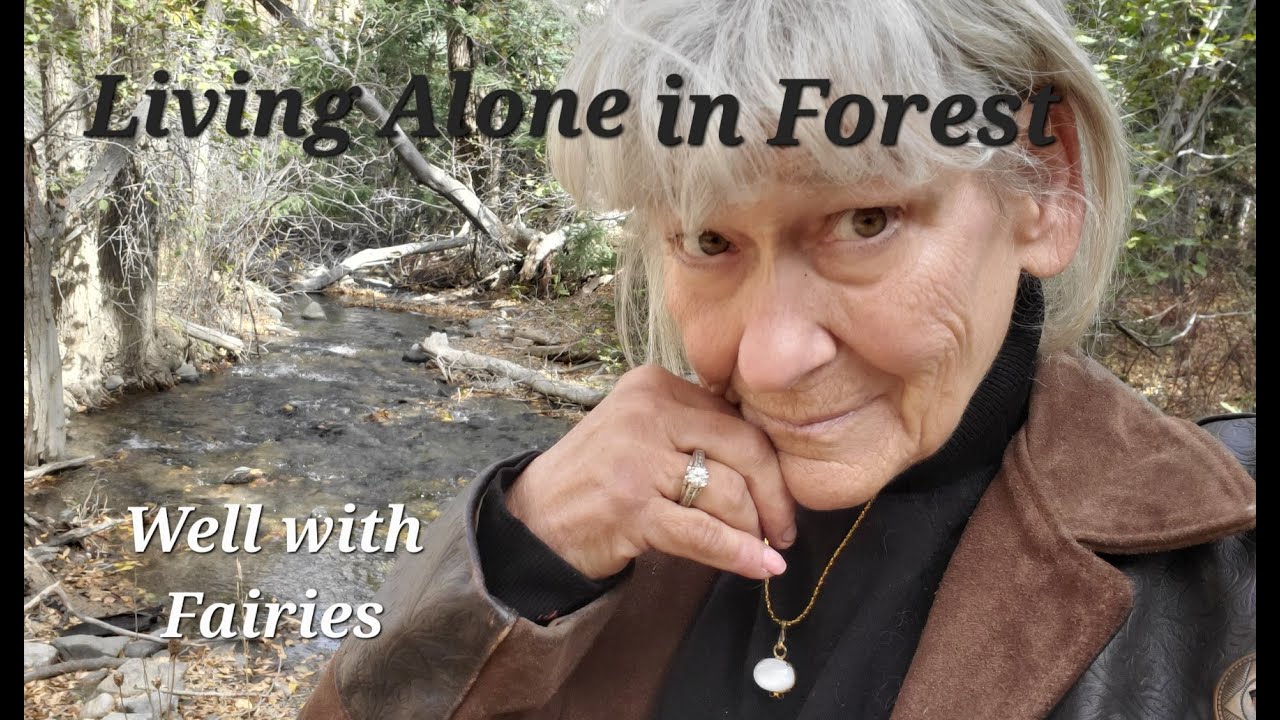 Жизнь в лесу в одиночестве с феями... и Кловисом.