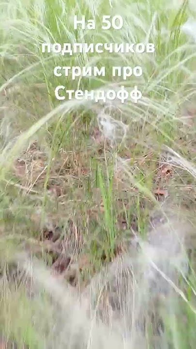 матушка земля - YouTube