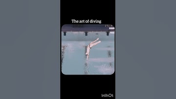 🌊 The Most Beautiful Dive You’ll Ever See | Art of Diving #olympics #swiming  video