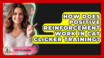 How Does Positive Reinforcement Work In Cat Clicker Training? - Happy Cat Handbook