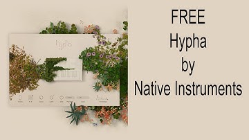LIMITED TIME FREE Hypha by Native Instruments