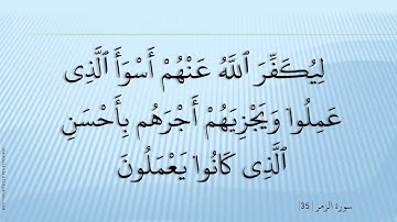 سورة الزمر 39 القارئ هاني الرفاعي