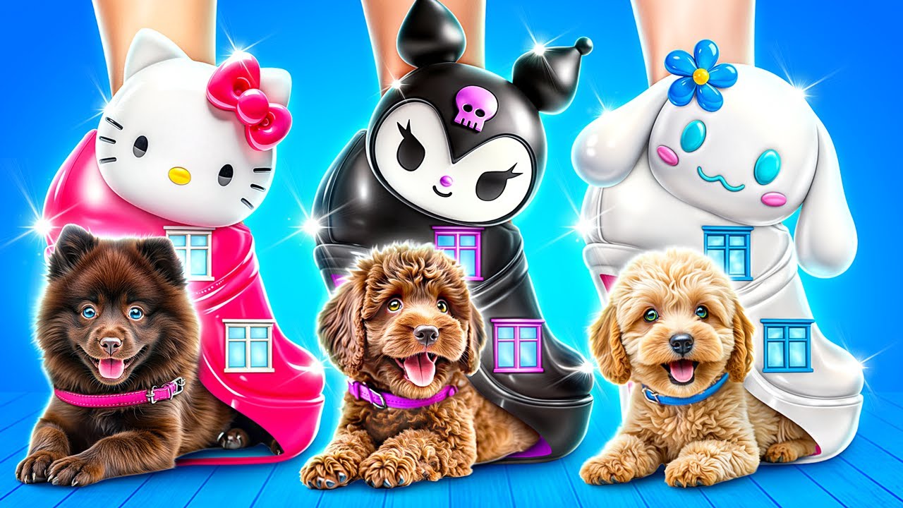 Desafio da Casinha de Cachorro de Uma Cor! Hello Kitty vs Kuromi vs ...