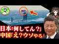 【海外の反応】中国の潜水艦その性能に驚愕?日本海上自衛隊にすぐに発見されてしまい浮上…世界で実力と技術力が話題に