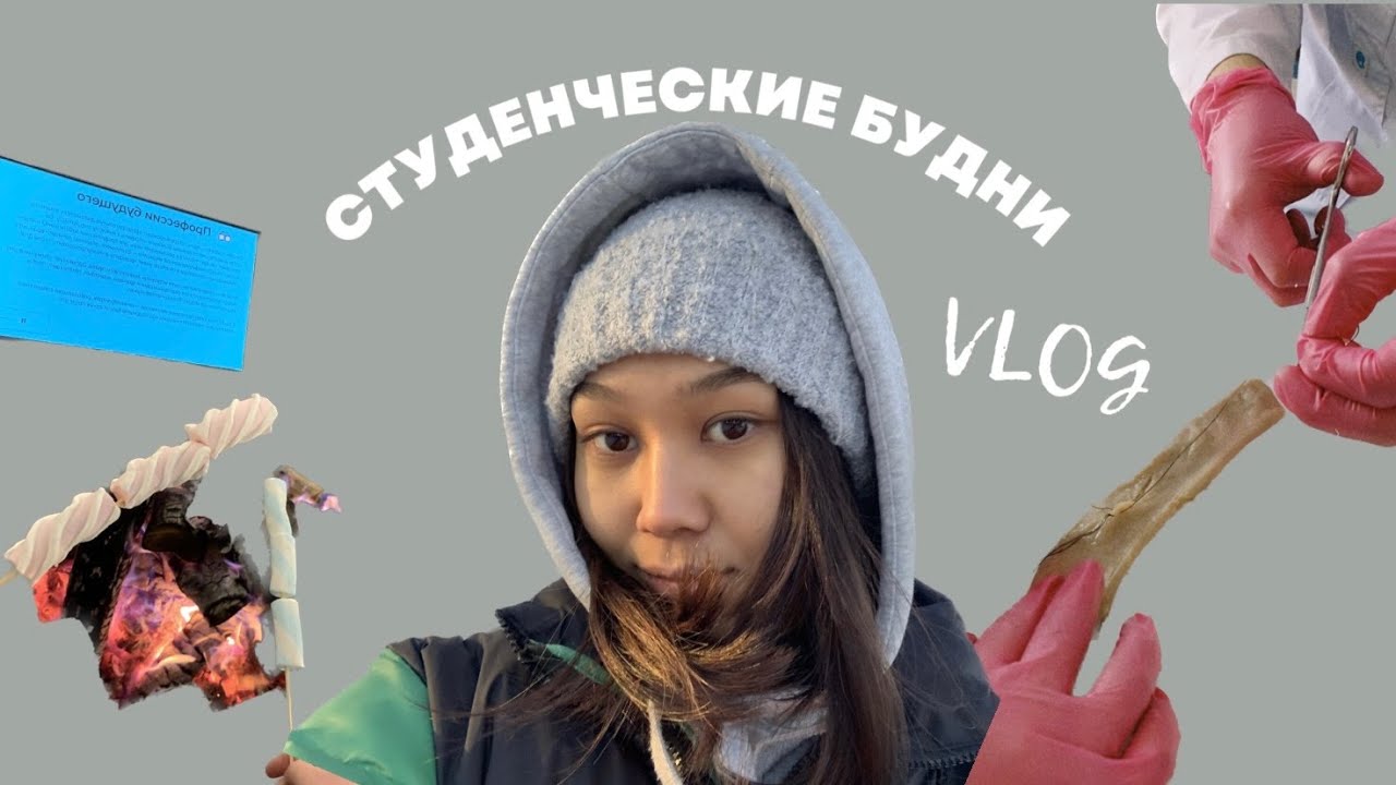 VLOG : мои студенческие и просто будни