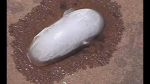 Solid Liquid Gas - Time Lapse