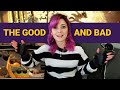 The Bad Guys 2022 | Animation and Visual Treatment Analysis and Review