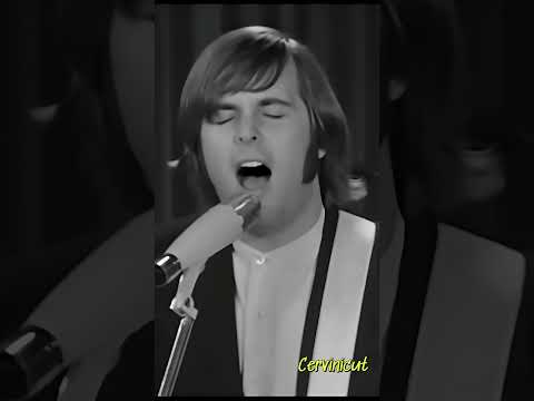 Brilliant Voice Carl Wilson