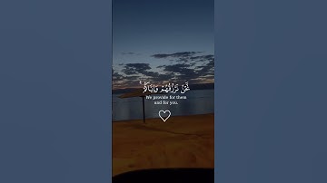 سورة الإسراء | #القرآن_الكريم #تلاوة_خاشعة #راحة_نفسية #اكسبلور #explore #viralvideo #آيات #لايك