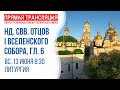 Аудиотрансляция соборной Литургии: Неделя 7-я по Пасхе, святых отцов I Вселенского Собора