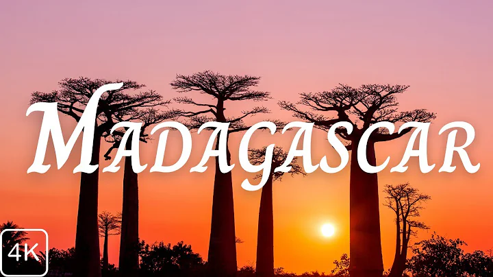 Madagascar 4k- Relaxation film with calming music