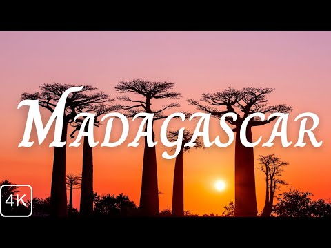 Madagascar 4k- Relaxation