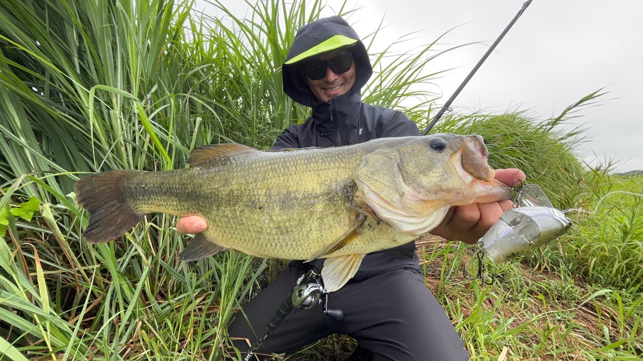 2025summer TJ & TiNYKLASH