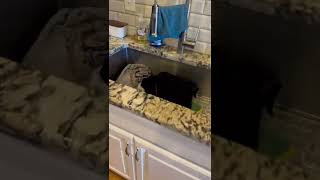 Kitchen aid-Bad Fridge