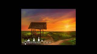 Superman Is Dead - Sunset Di Tanah Anarki | Free Download Status Whatsapp 50 Detik 1080p