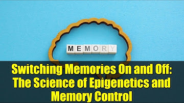 Switching Memories On and Off: The Science of Epigenetics and Memory Control