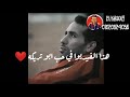 فاضي شويه ابو تريكه