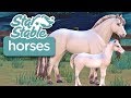 Raising a Fjord Foal! | Star Stable Horses App