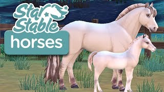 Raising a Fjord Foal! | Star Stable Horses App screenshot 5