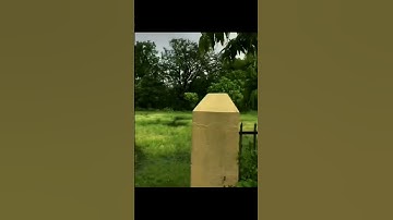 IIT BHU 🥰 #iit #iitbhu #IitCampus #iitlife #varanasi #shorts #Banaras #Bhu #Bhumasti #viral