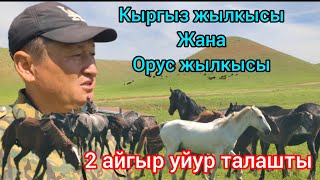 картинка: Мырзакул ажы авабыздын дыйканчылык чарбасы